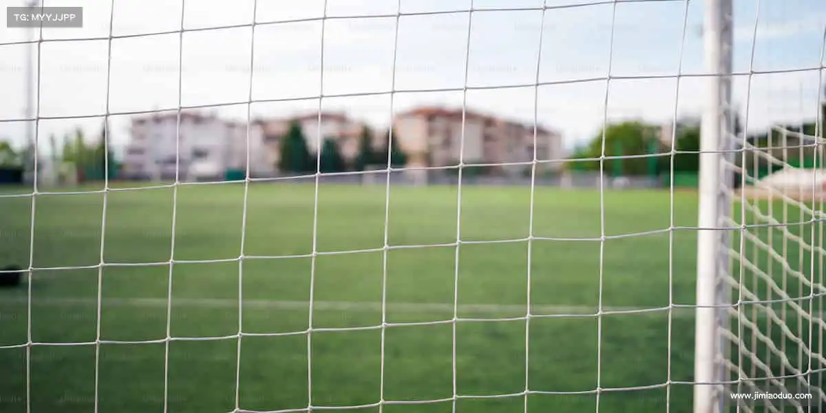 pp电子游戏——🏹瞄准目标，让热爱精准落地！​